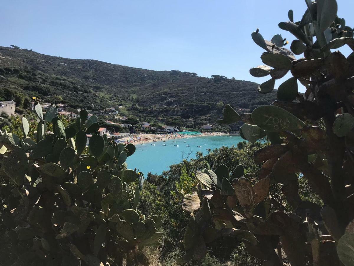 Stefano Casa Vacanze Viddalba 外观 照片